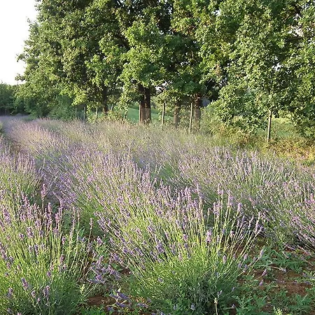 La Casetta Di Lu Country house